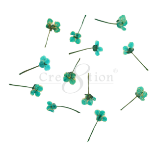 Cre8tion Nail Art Charms, Teal, B061